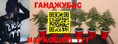 трава Донецк