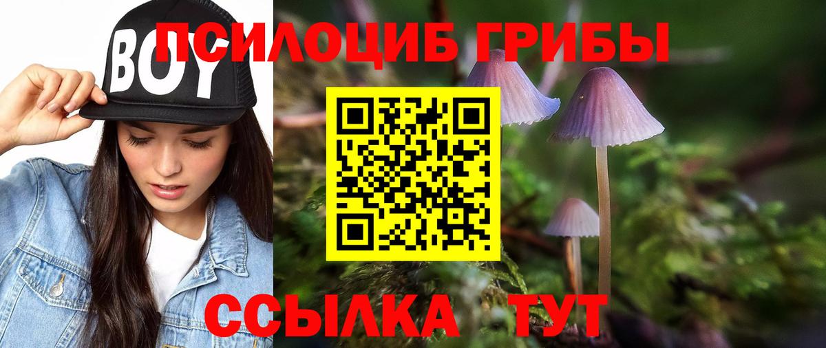 Псилоцибиновые грибы ЛСД  Вход с VPN  Псилоцибиновые грибы прущие грибы  Назарово 